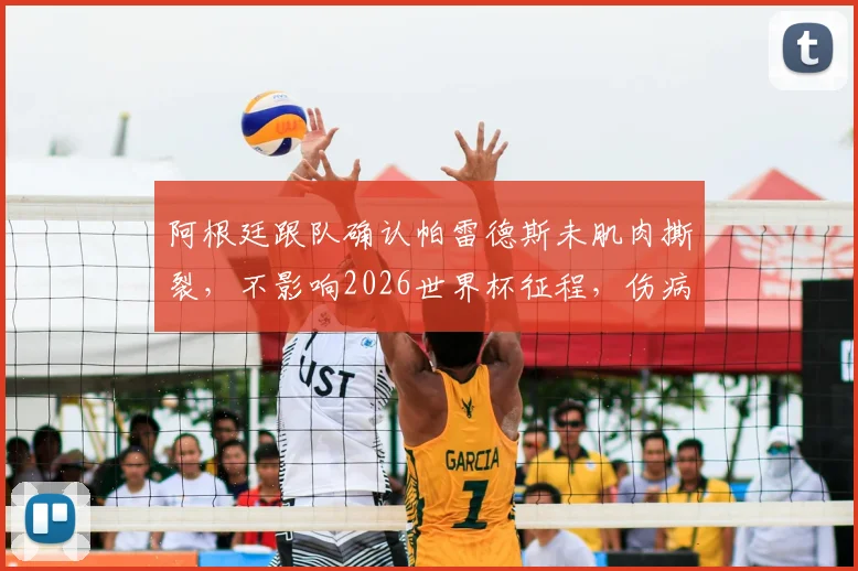 阿根廷跟队确认帕雷德斯未肌肉撕裂,不影响2026世界杯征程,伤病传闻澄清与球员状态分析